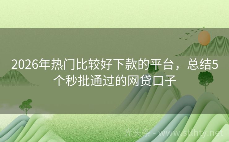 2026年热门比较好下款的平台，总结5个秒批通过的网贷口子