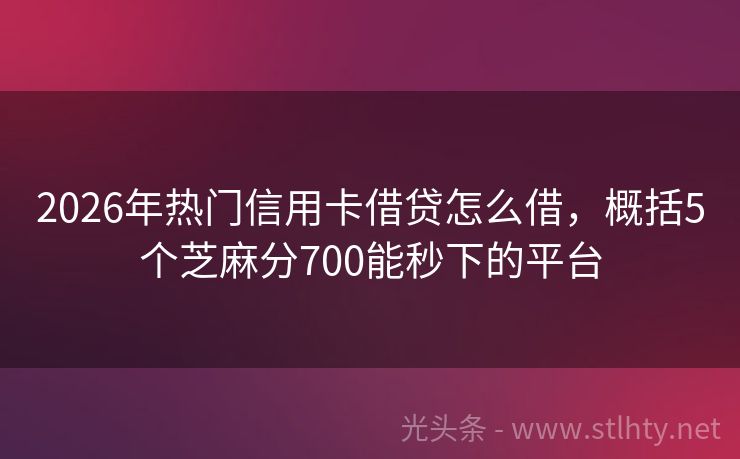 2026年热门信用卡借贷怎么借，概括5个芝麻分700能秒下的平台