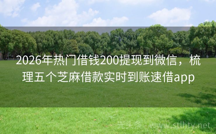 2026年热门借钱200提现到微信，梳理五个芝麻借款实时到账速借app