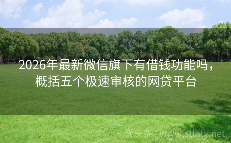 2026年最新微信旗下有借钱功能吗，概括五个极速审核的网贷平台