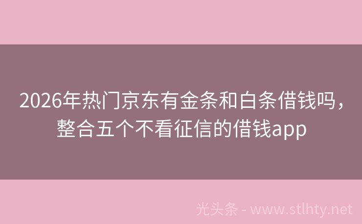 2026年热门京东有金条和白条借钱吗，整合五个不看征信的借钱app