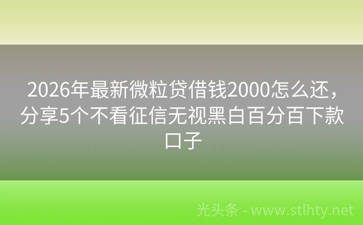 2026年最新微粒贷借钱2000怎么还，分享5个不看征信无视黑白百分百下款口子