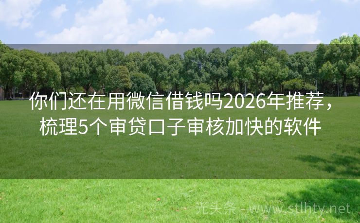 你们还在用微信借钱吗2026年推荐，梳理5个审贷口子审核加快的软件