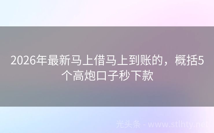 2026年最新马上借马上到账的，概括5个高炮口子秒下款