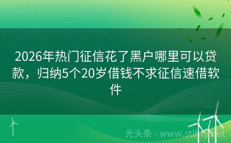 2026年热门征信花了黑户哪里可以贷款，归纳5个20岁借钱不求征信速借软件