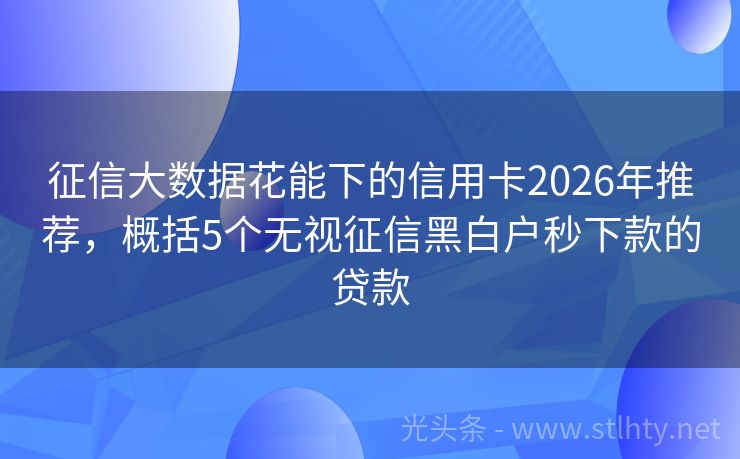 征信大数据花能下的信用卡2026年推荐，概括5个无视征信黑白户秒下款的贷款