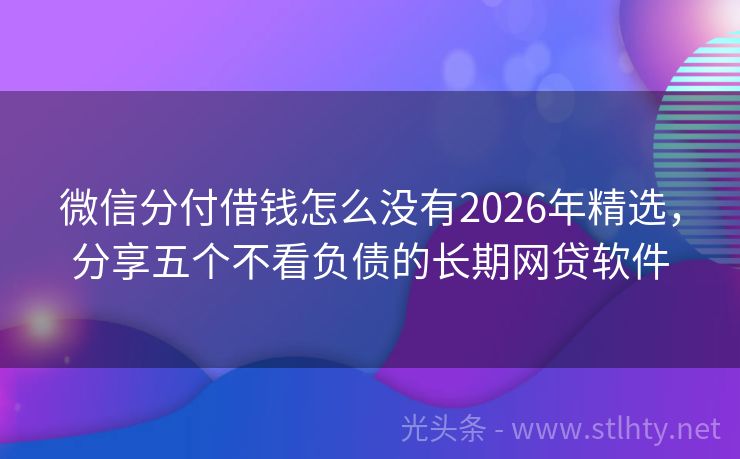 微信分付借钱怎么没有2026年精选，分享五个不看负债的长期网贷软件