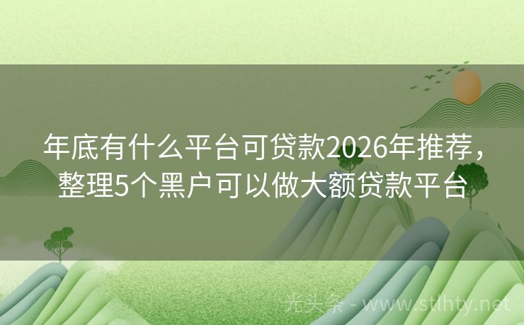 年底有什么平台可贷款2026年推荐，整理5个黑户可以做大额贷款平台