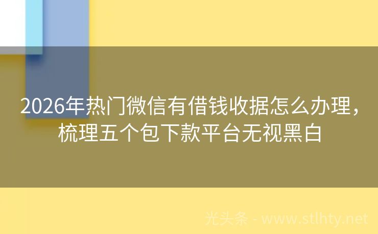 2026年热门微信有借钱收据怎么办理，梳理五个包下款平台无视黑白