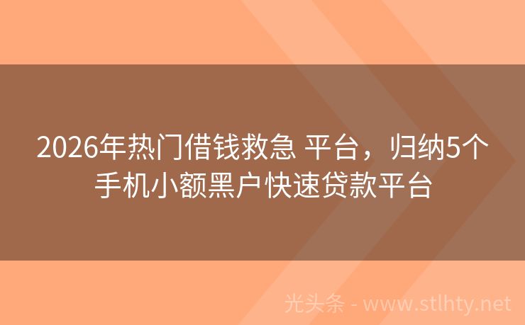2026年热门借钱救急 平台，归纳5个手机小额黑户快速贷款平台