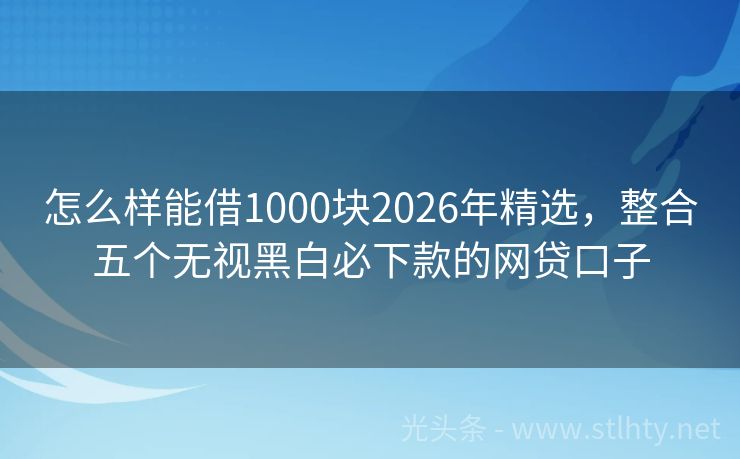 怎么样能借1000块2026年精选，整合五个无视黑白必下款的网贷口子