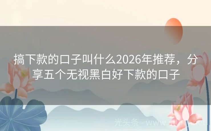 搞下款的口子叫什么2026年推荐，分享五个无视黑白好下款的口子