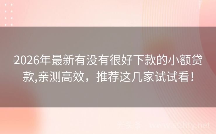 2026年最新有没有很好下款的小额贷款,亲测高效，推荐这几家试试看！