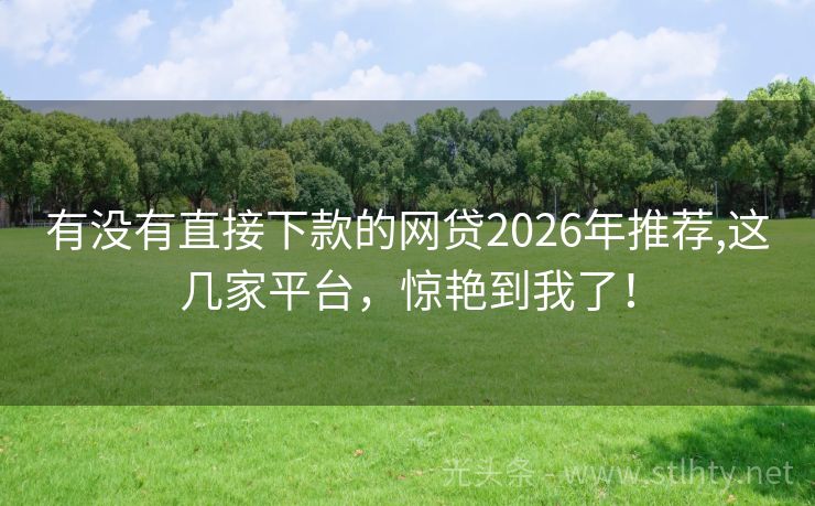 有没有直接下款的网贷2026年推荐,这几家平台，惊艳到我了！
